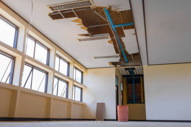 Best Flood damage cleanup  in La Vale, MD
