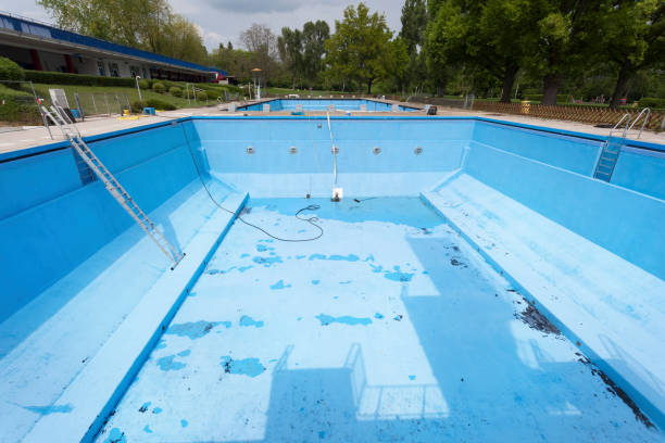 Best Mold removal after water damage  in La Vale, MD