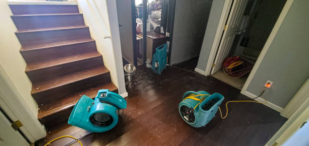 Best Professional water damage repair  in La Vale, MD