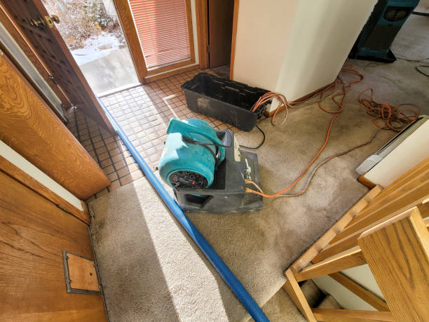Best Water damage cleanup near me  in La Vale, MD