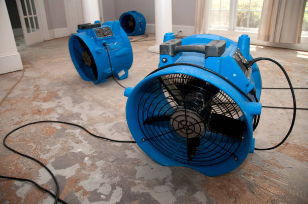 Best Carpet water damage restoration  in La Vale, MD