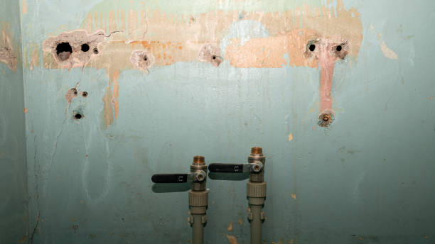 Best Water damage restoration near me  in La Vale, MD