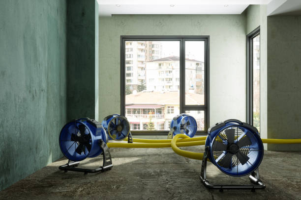 Best Ceiling water damage repair  in La Vale, MD